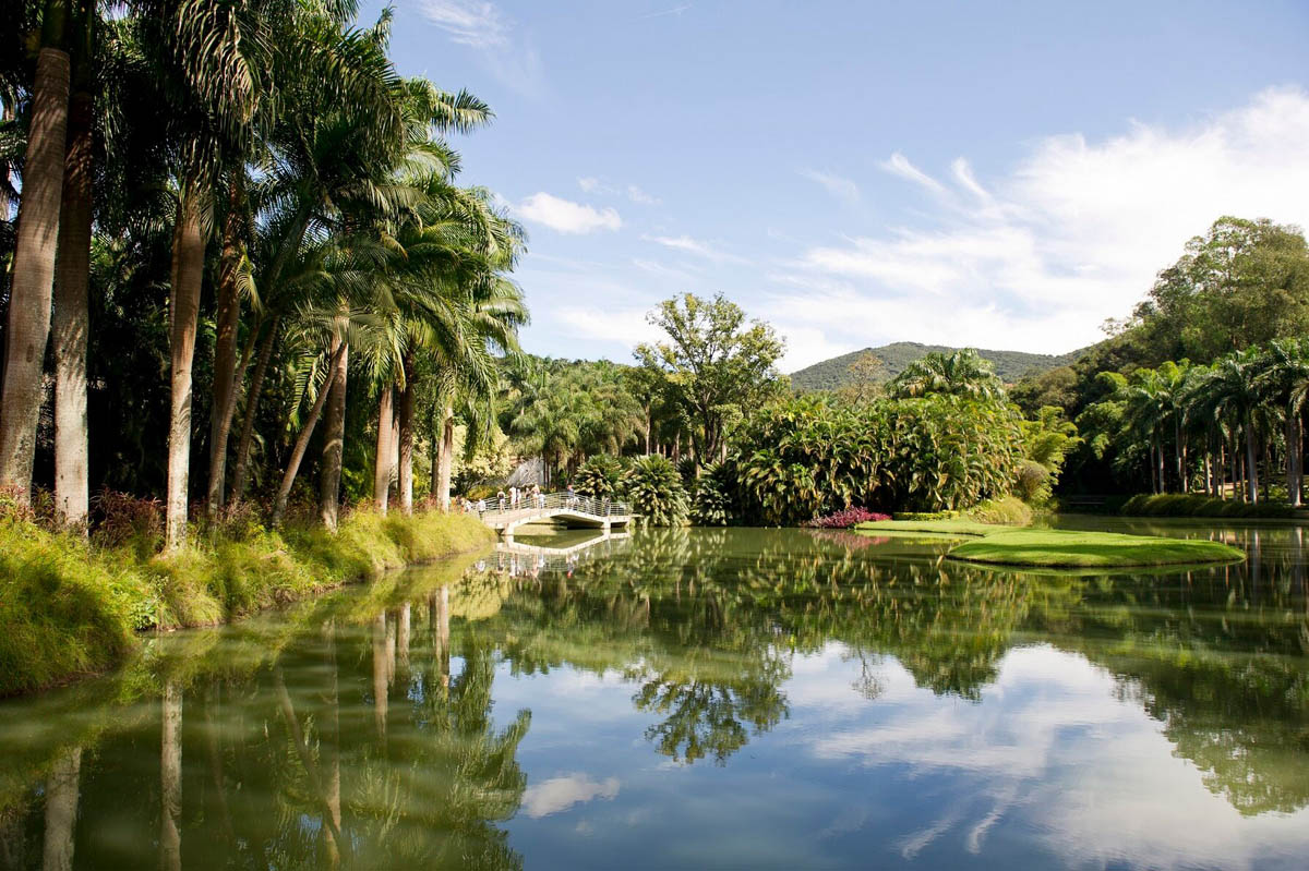 inhotim_Foto Ricardo Mallaco-divulgacao.jpg (482 KB)